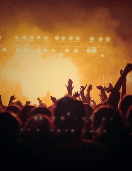 Energetic music concert with a vibrant crowd cheering under bright stage lights.